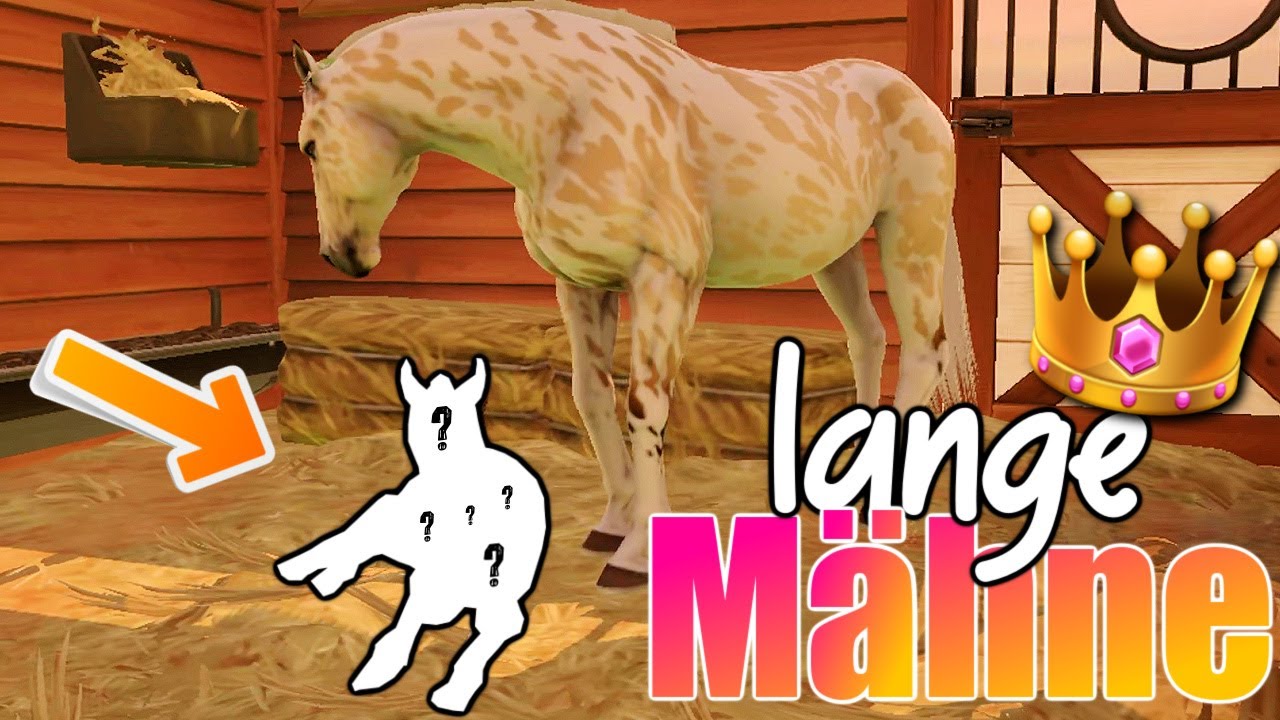 wir züchten nur FOHLEN mit LANGER MÄHNE 🐴💫 Rival Stars Horse Racing