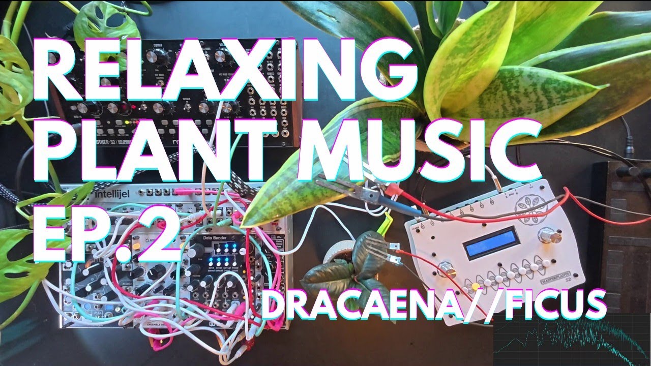 Electrophysiology - Relaxing Plant Ambient // 30 Mins