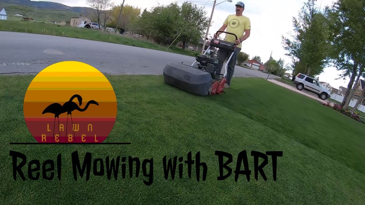 Reel Mowing and Blowing the Lawn