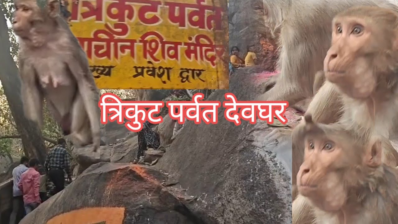 | त्रिकूट पहाड़ देवघर मंदिर | #deoghar #mandir #trikut parvat #video @vikrambageswar8540
