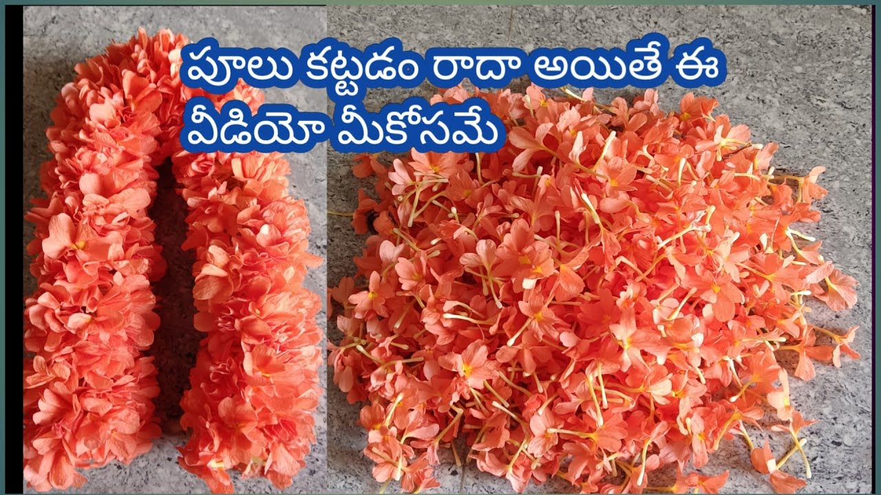 #పూలు
