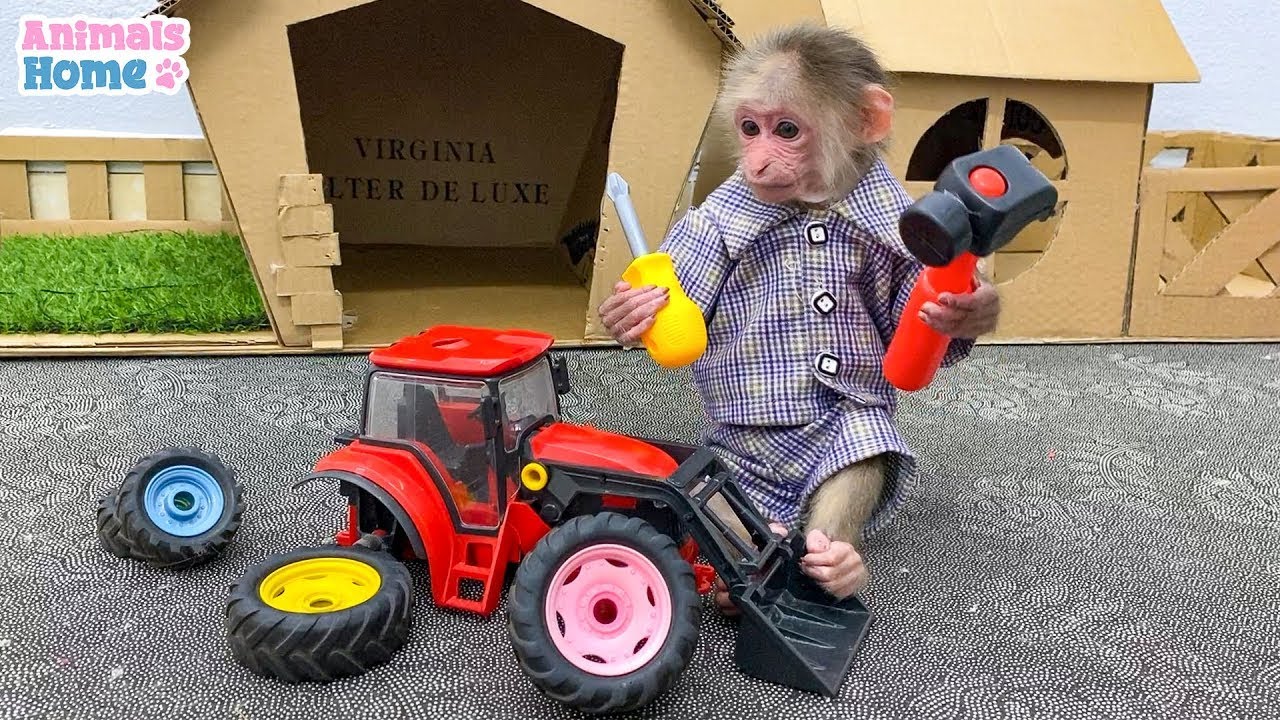 Smart monkey BiBi repairs boat for fruit picking