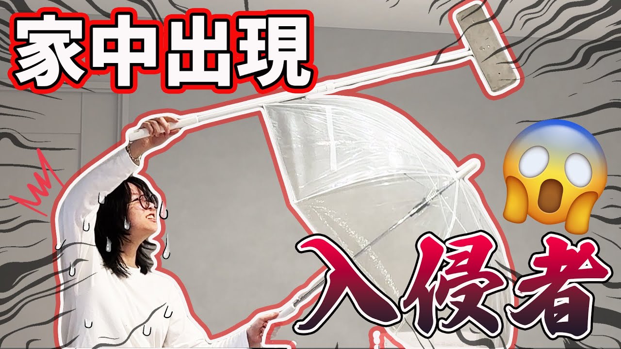 【日常】緊急事件! 家中出現入侵者! 超恐怖 妞妞超崩潰...日本生活 留學 臭蟲 驅趕 怪蟲 [NyoNyoTV妞妞TV]