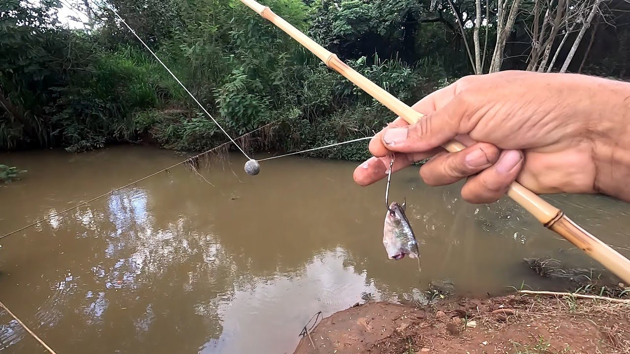 Pescaria Raiz no c&oacute;rrego do Rio eu n&atilde;o acreditei no que eu estava vendo de canto a canto do Rio