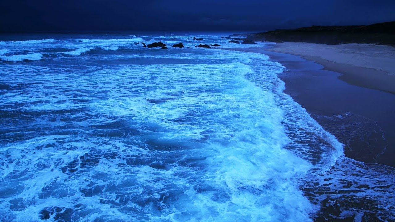 INSTANT CALMING BY LISTENING TO WAVES CRASHING 🌊 Gentle Ocean Sounds For Sleeping