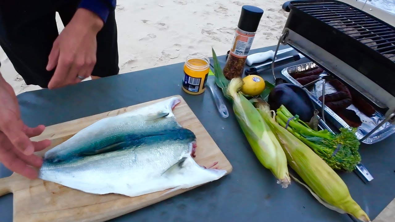 Big Summer TAILOR Fishing off the BEACH! Catch, Clean and Cook!