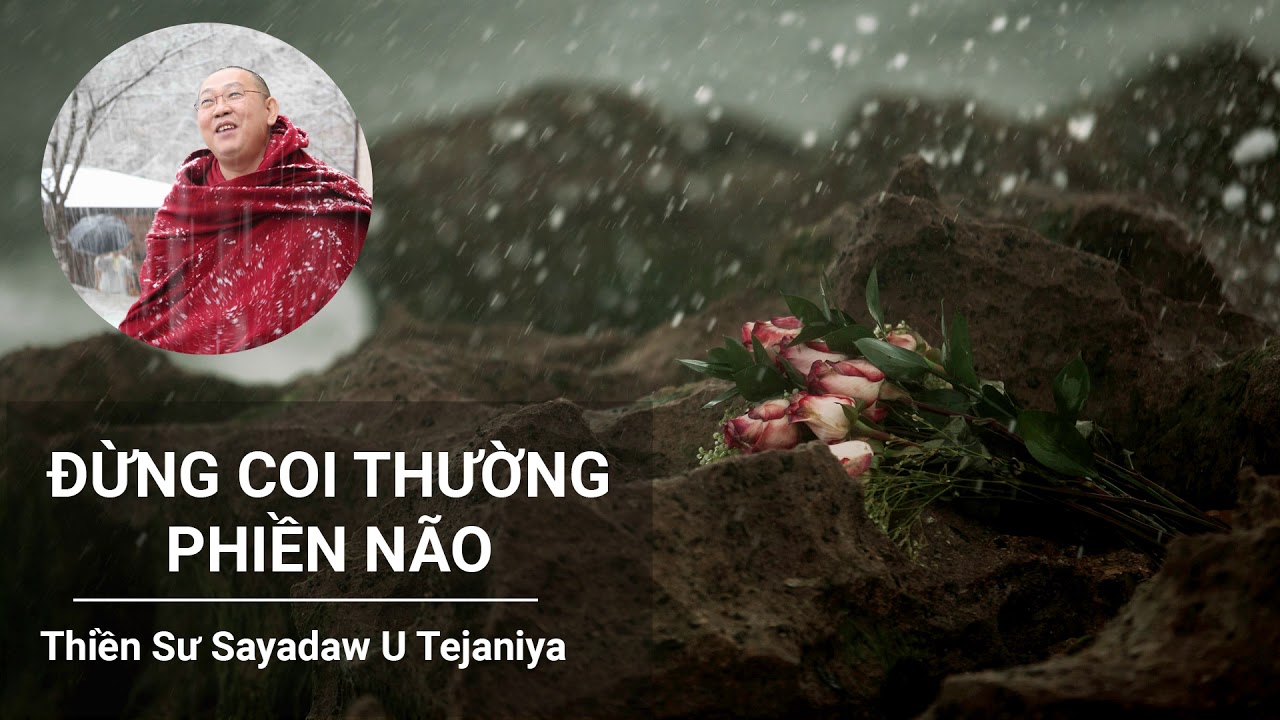 Đừng Coi Thường Phiền Não - Thiền Sư Sayadaw U Tejaniya