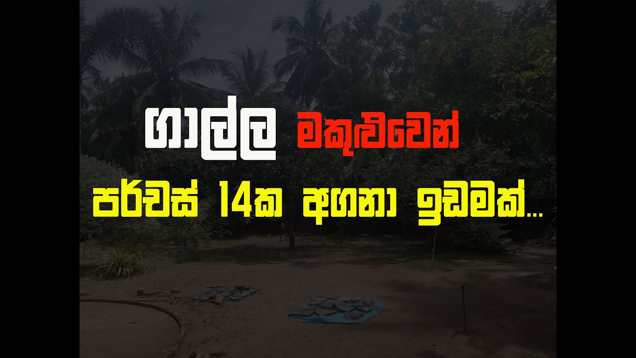 Land For Sale In GALLE CITY | Just Watch The Video 👀 @Makuluwa