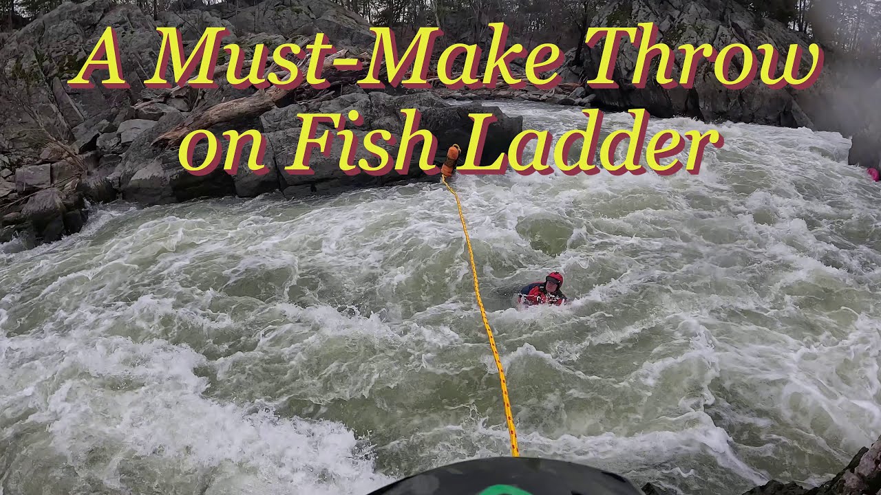 A Must-Make Throw, Rescue on Fish Ladder, 4.15, 2024-03-28
