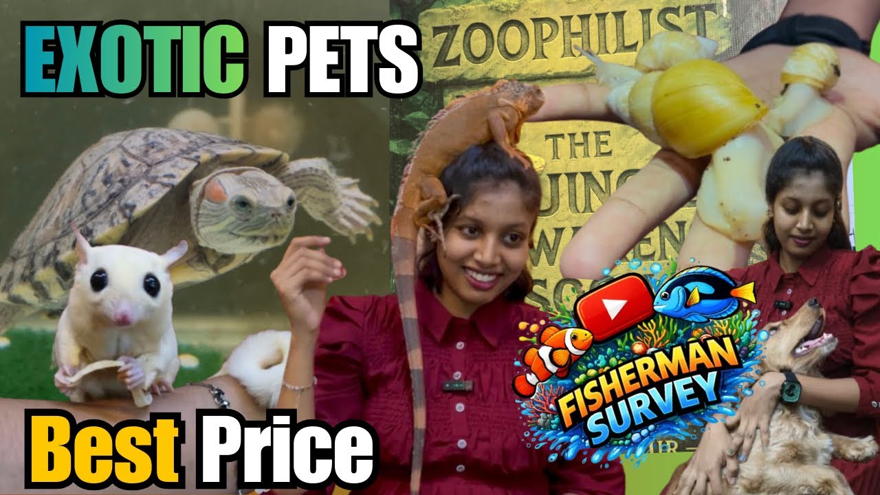UNBELIEVABLE Exotic Pets for Sale in Chennai 😱 | Rare Animals You Won’t Believe!