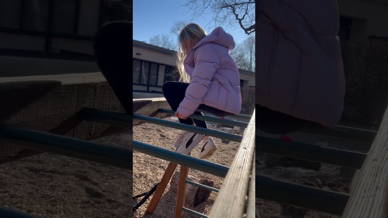 Monkey Bar Trick Challenge Contest for Kids