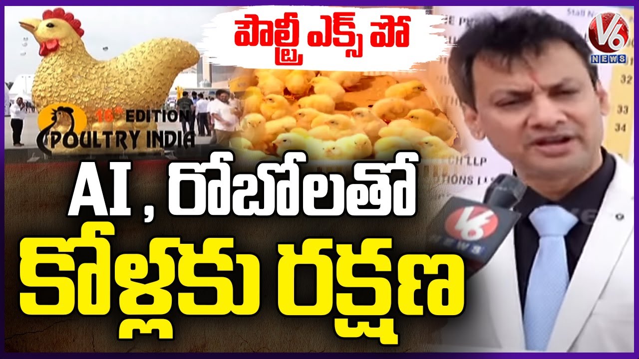 Ground Report: 16th Poultry India Expo 2024 At HITEX Exhibition | Hyderabad | V6 News