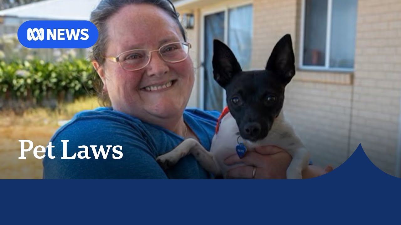 Challenges continue for renters with pets despite law changes | ABC NEWS