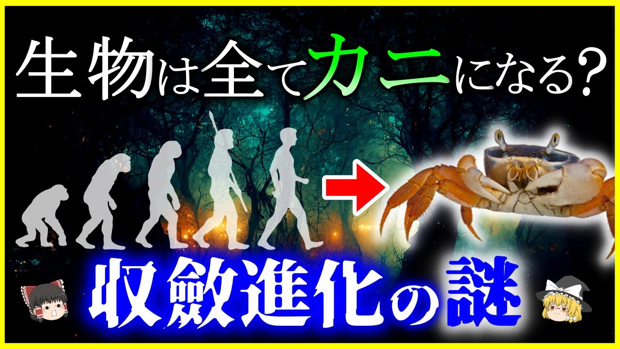 【ゆっくり解説】行き着く先はカニ⁉生物の「収斂進化」とは何か？を解説/収束進化とも呼ばれる進化の謎とcarcinisationとは