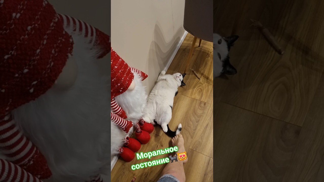 Стэтхэм о девушках🐈‍⬛😻❤️‍🔥 