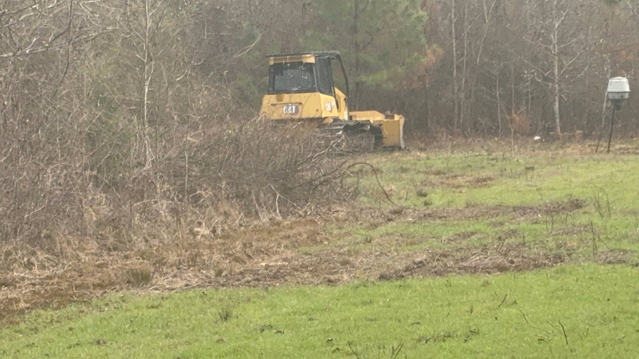 Exploring woods ￼(extremely muddy towards the end of the video) 