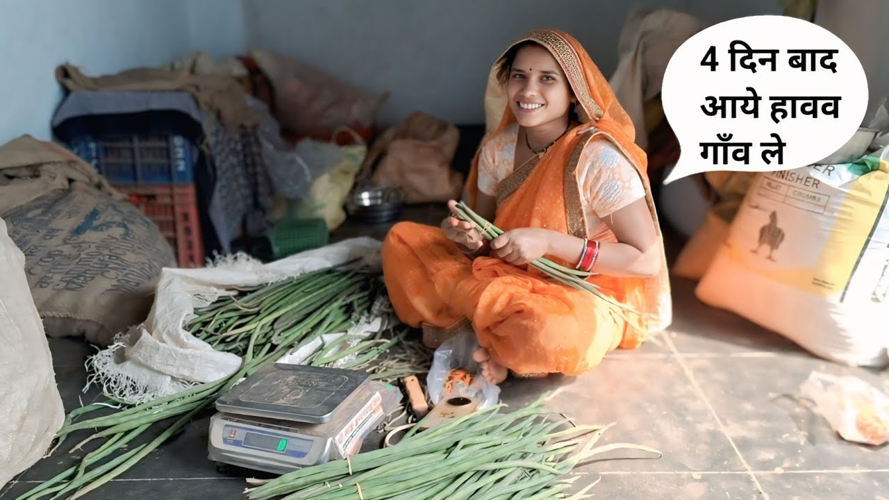 25 February 2026 4 दिन बाद आये हव गाँव ले cg blog video rohan patel family volg #cg #farming #food 