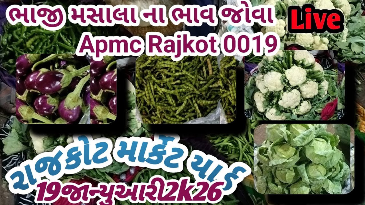 Rajkot market 19/01/2026 લીલા શાકભાજીના ભાવ 