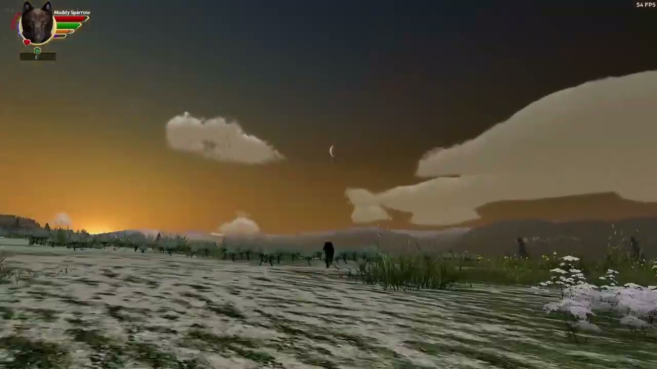 Plains Pack Episode 6