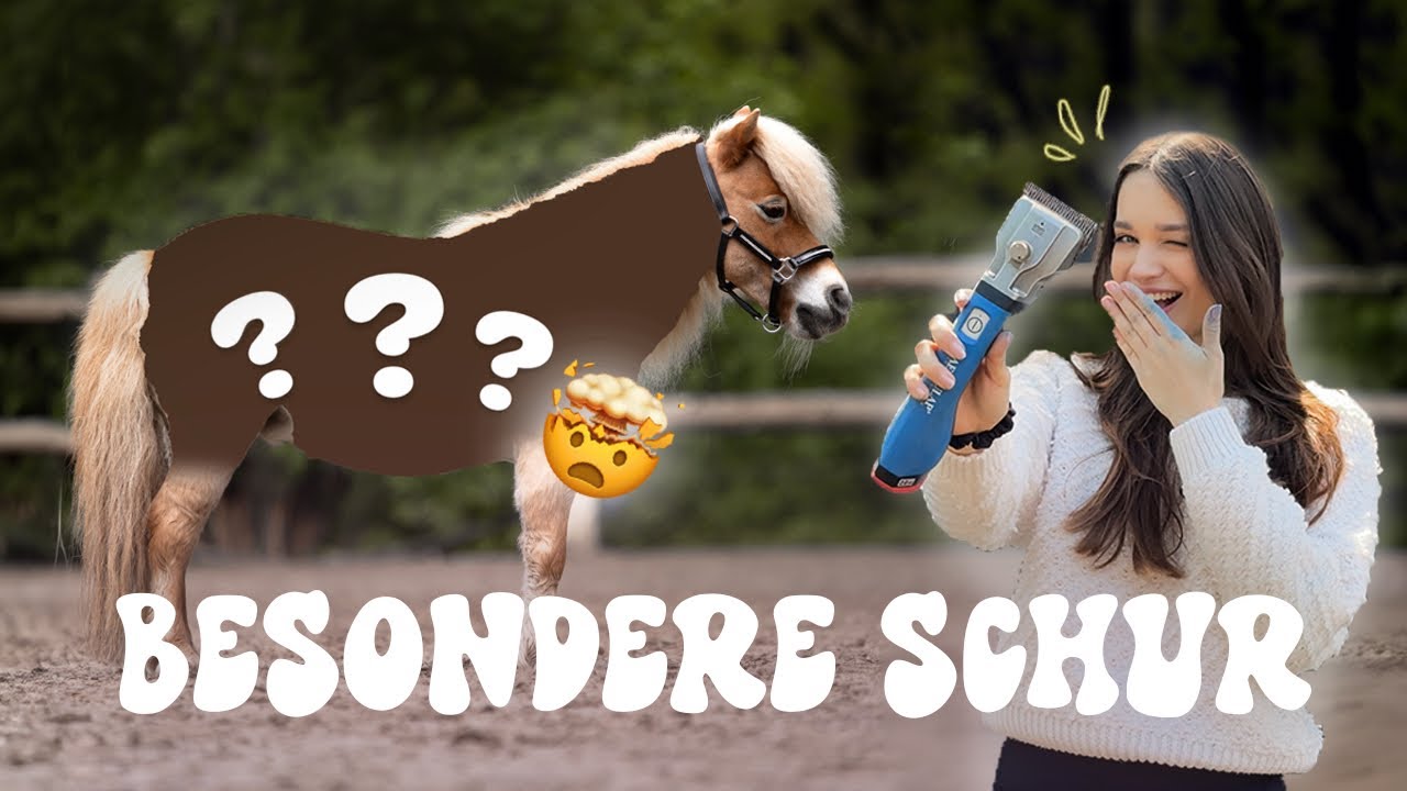 PONY BEKOMMT NEUE SCHUR😍!