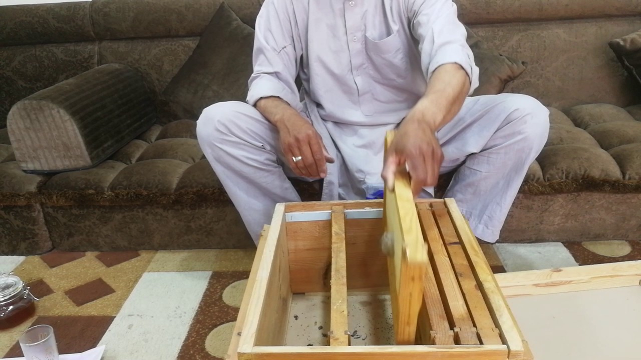 علاج تكذيب النحل(23)
