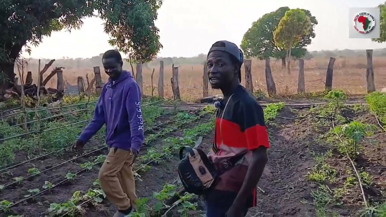 D Youngest & Smartest Farmer in URR His Goal is Impossible for his village  The Gambia West Africa 