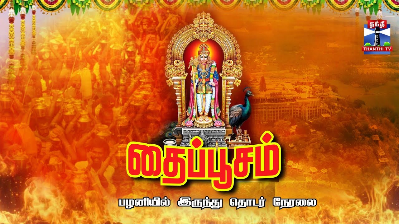 🔴LIVE : பழனி தைப்பூசம் 2026  | Palani | Thaipusam 2026  | Thanthitv Live