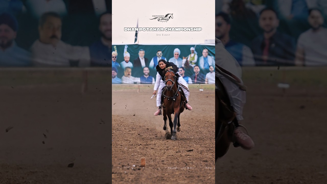 Lady Rider anum shakor #music #horse #rider #horsefan #photography #nezabaazi