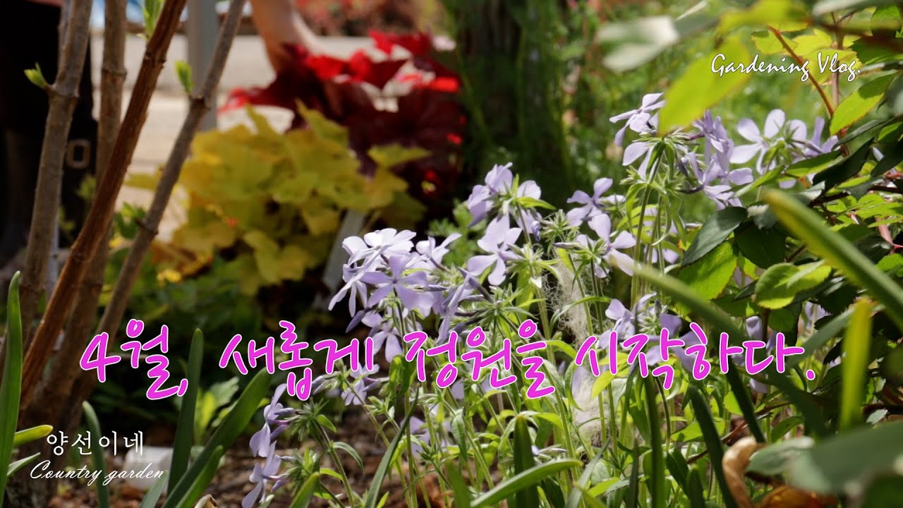 4월의 봄정원, 그리고 정원을 새롭게 만들었습니다.