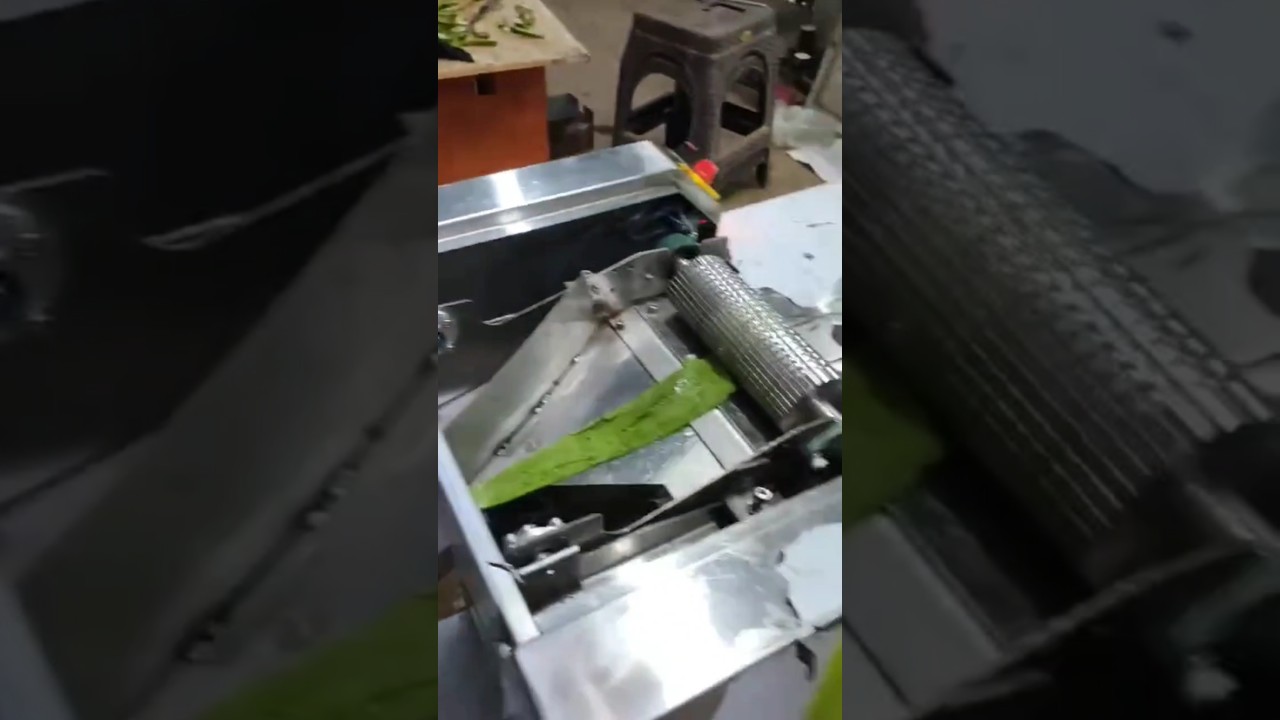 Automatic Aloe Vera Peeling Machine