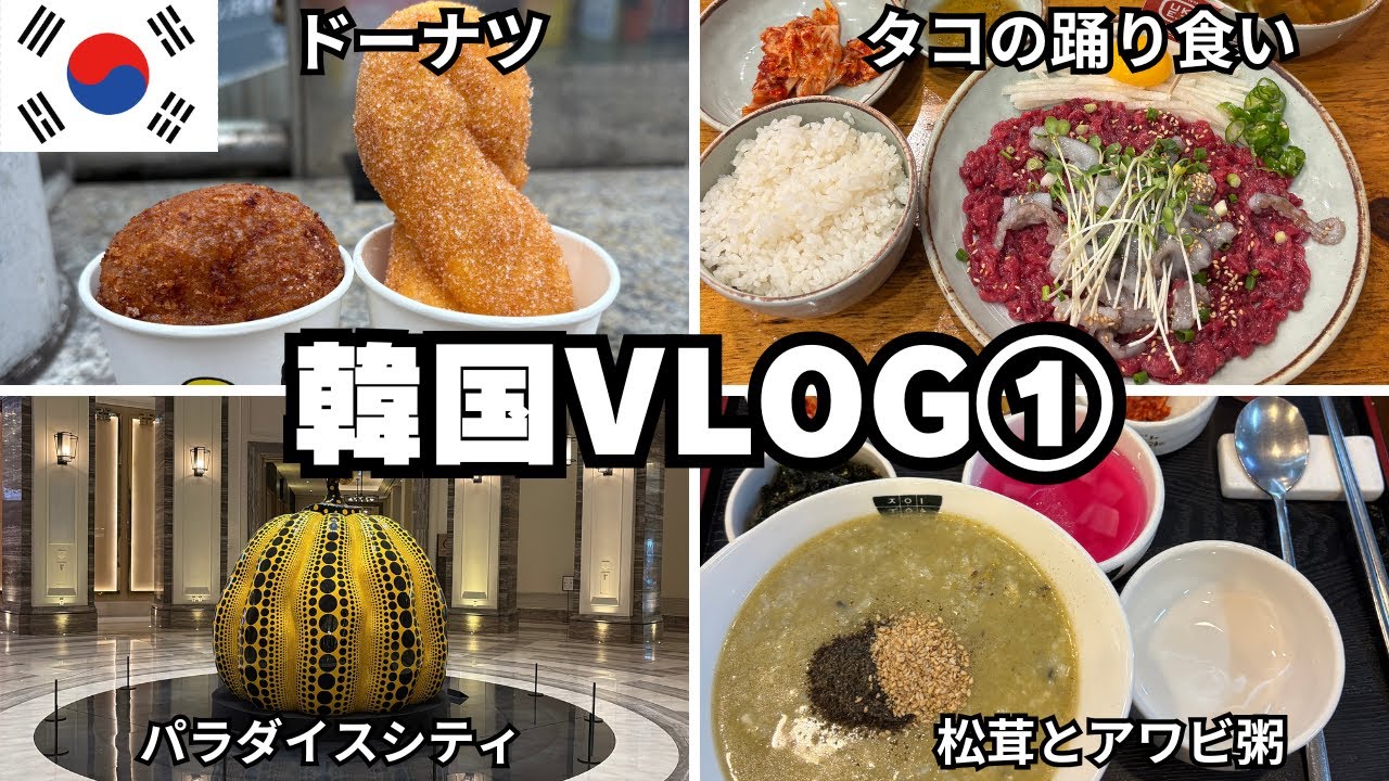 【韓国VLOG①】パラダイスシティでカジノ！広蔵市場でタコの踊り食い！生ユッケ！韓国相鉄ホテルズザスプラジールソウル明洞に宿泊　2025年7月16日～19日　#seoul #korea