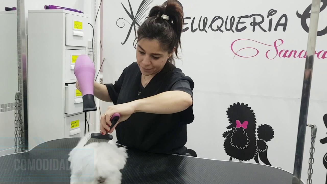 CORTES COMERCIALES PELUQUERIA CANINA SANDRA