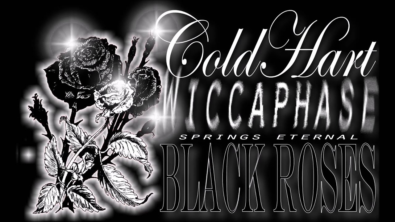 Cold Hart - Black Roses (feat. Wicca Phase)