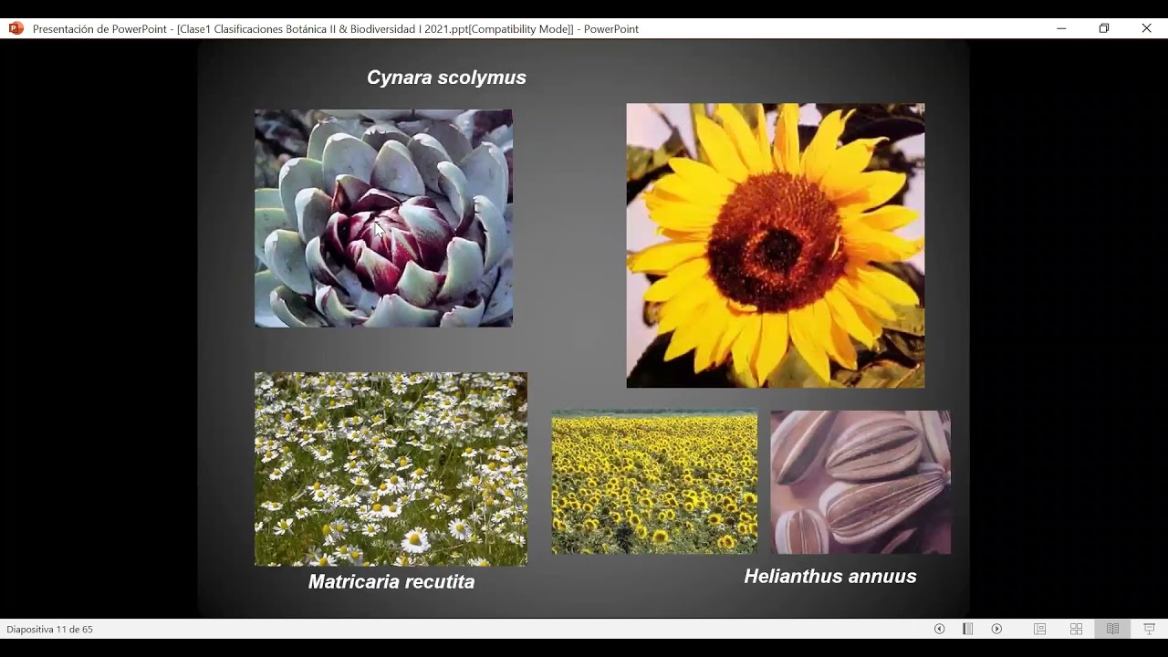Botánica II & Biodiversidad I Clase 1 Sistemática Clasificaciones Nomenclatura