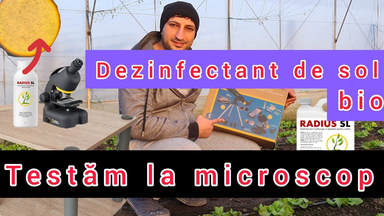 De ce sa alegem dezinfectantul de sol Radius sl ? Vazut la microscop