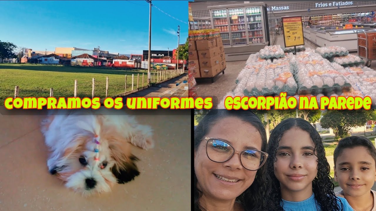 Dia bem corrido com compras , visita da Siriema e de um bicho peçonhento. 