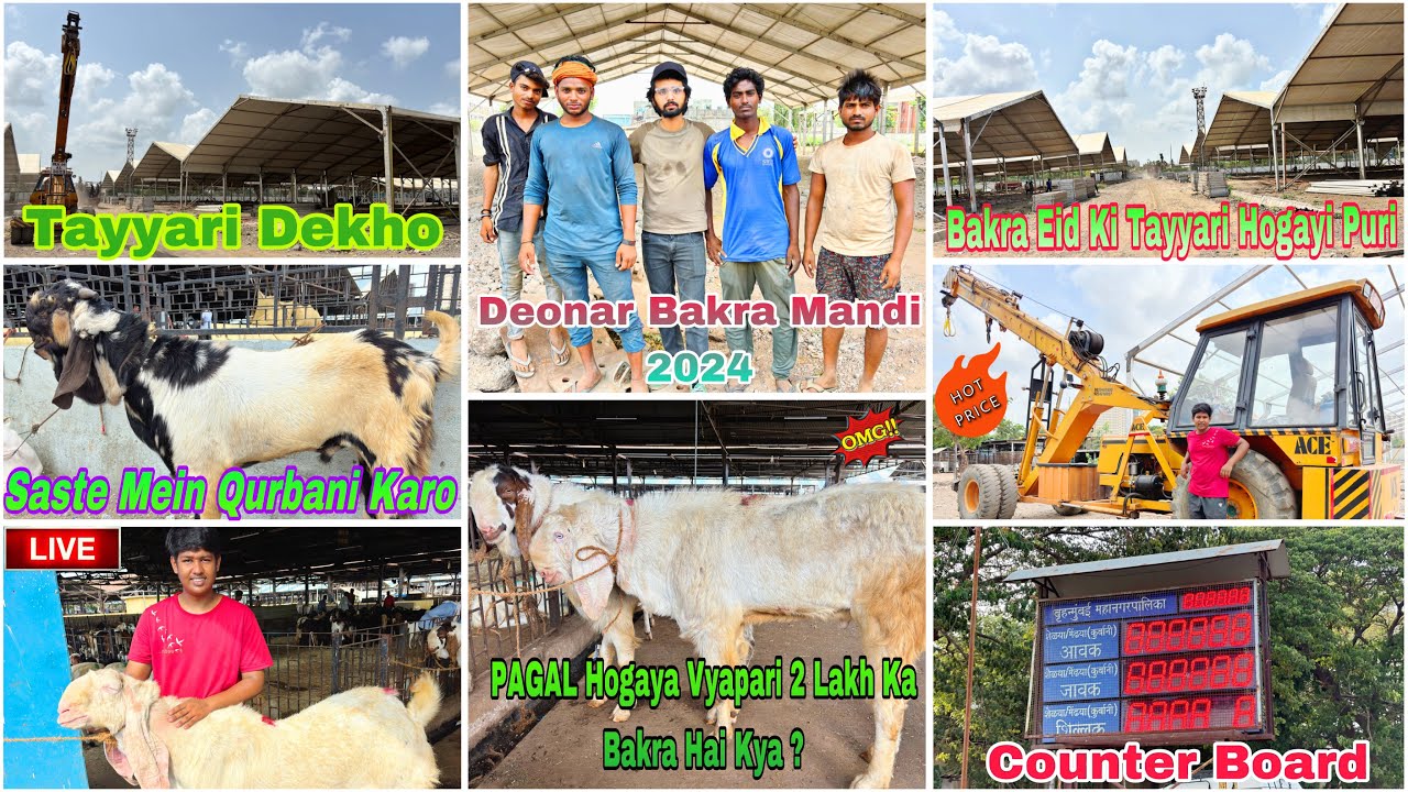 Deonar Bakra Mandi Latest Update 2024 | Tuesdays Update | PAGAL Hogaya Hai Vyapari | 28 May 2024