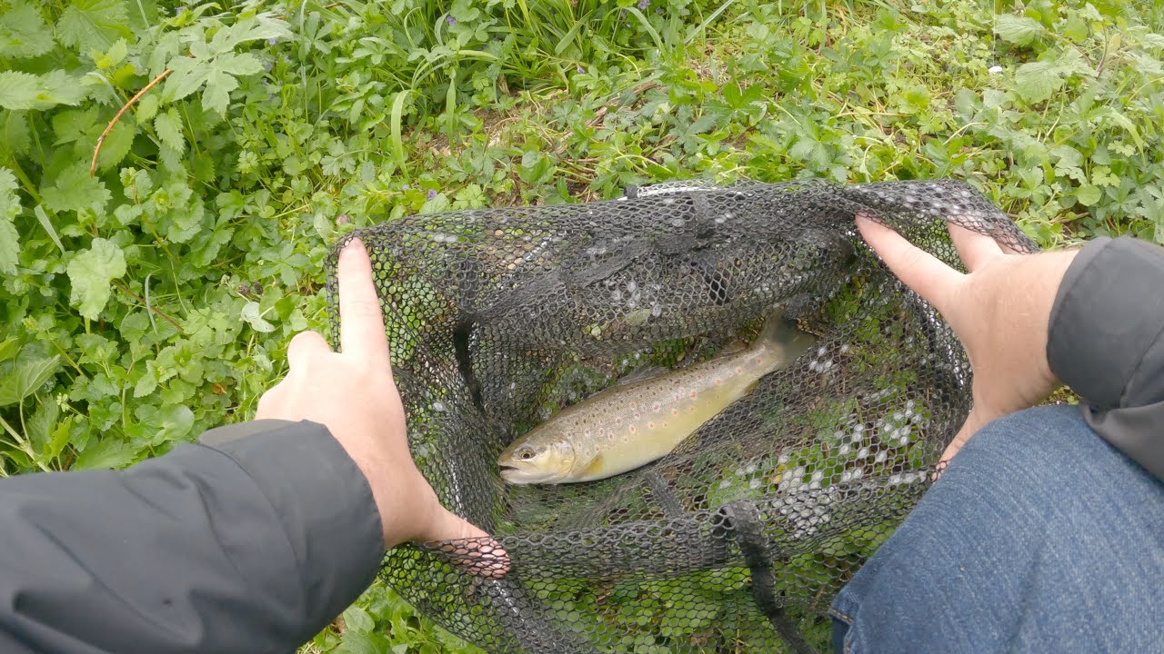Je prend un énorme Brochet a l'ultra light en pêchant la truite !