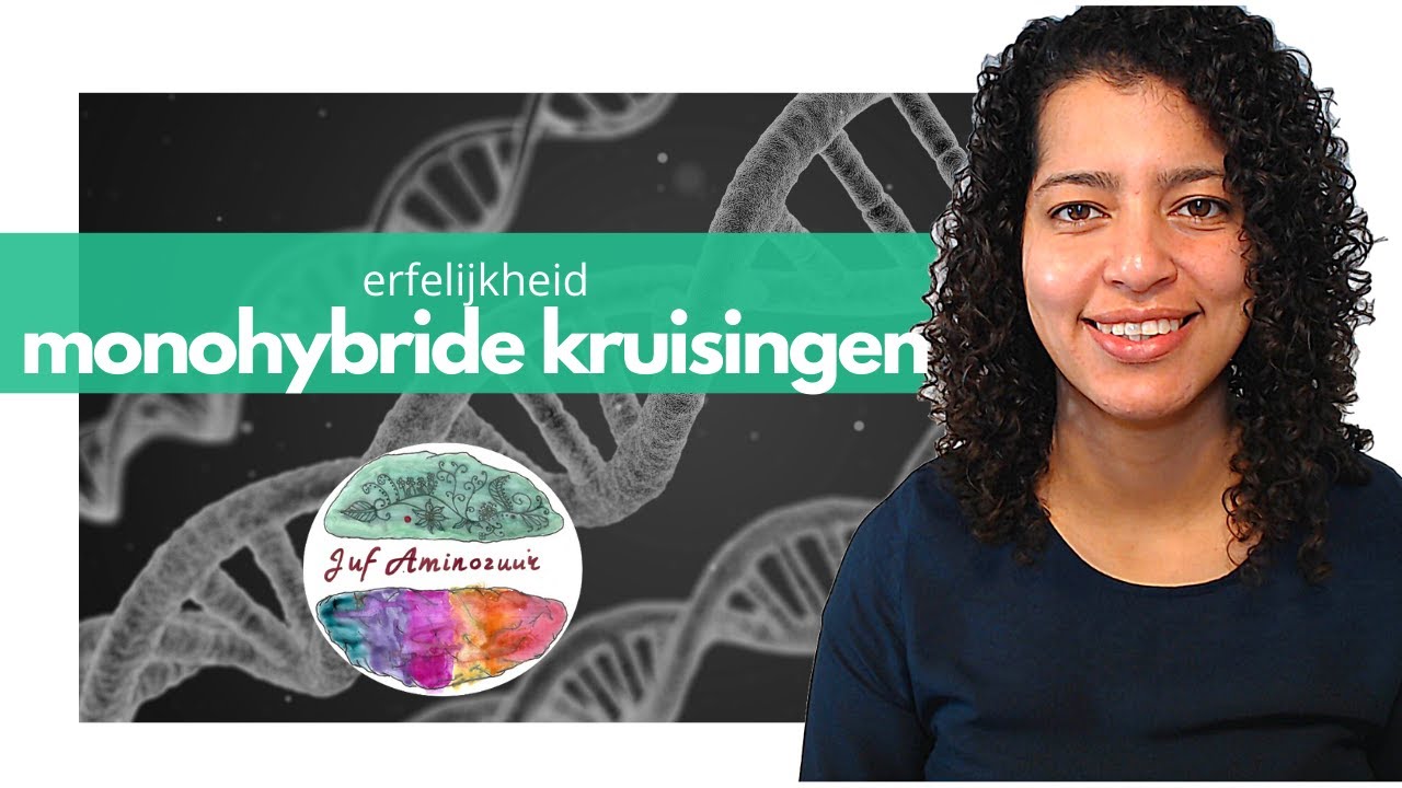 Monohybride kruisingen inclusief voorbeelden - erfelijkheid  (HAVO/VWO)