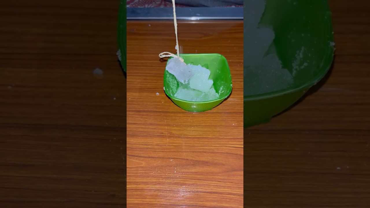 Can you hang a ice cube with thread | science experiment 