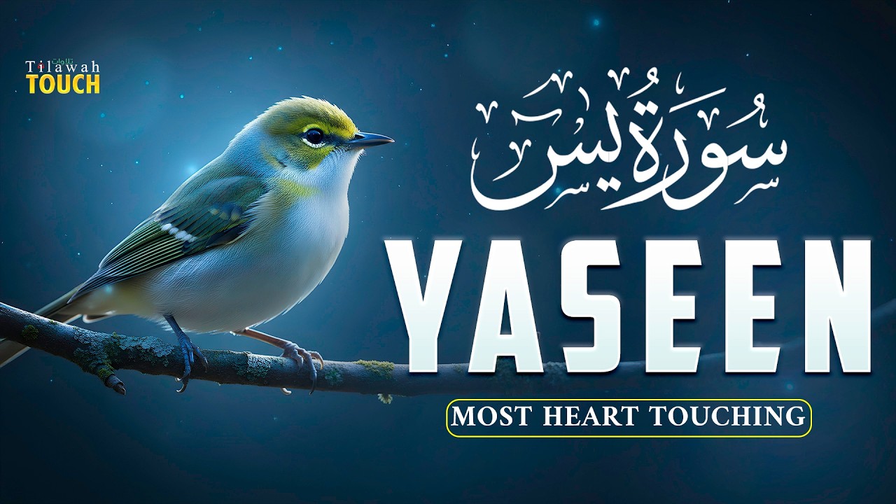Surah Yaseen سورة يس | Most Relaxing Recitation for Stress Relief & Calm | Tilawah Touch #surahyasin
