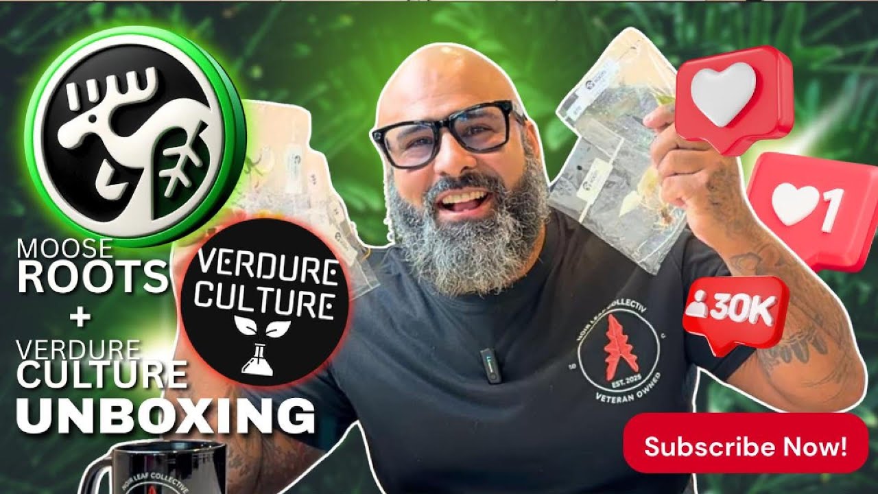 Moose Roots & Verdure Culture Unboxing