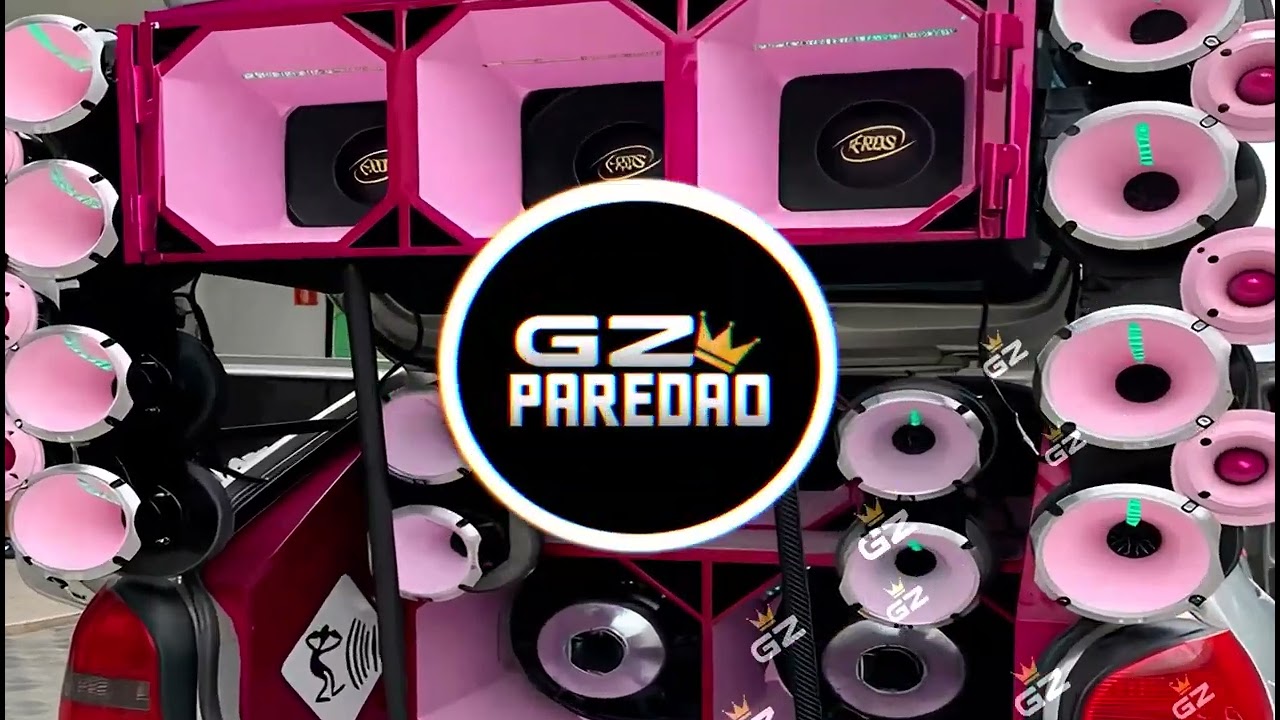 CD FORROZINHO PRA PAREDÃO 2025 NOVO ANAILSON PRODUÇÕES  E DUDU BATIDÃO ALTA QUALIDADE #piseiro