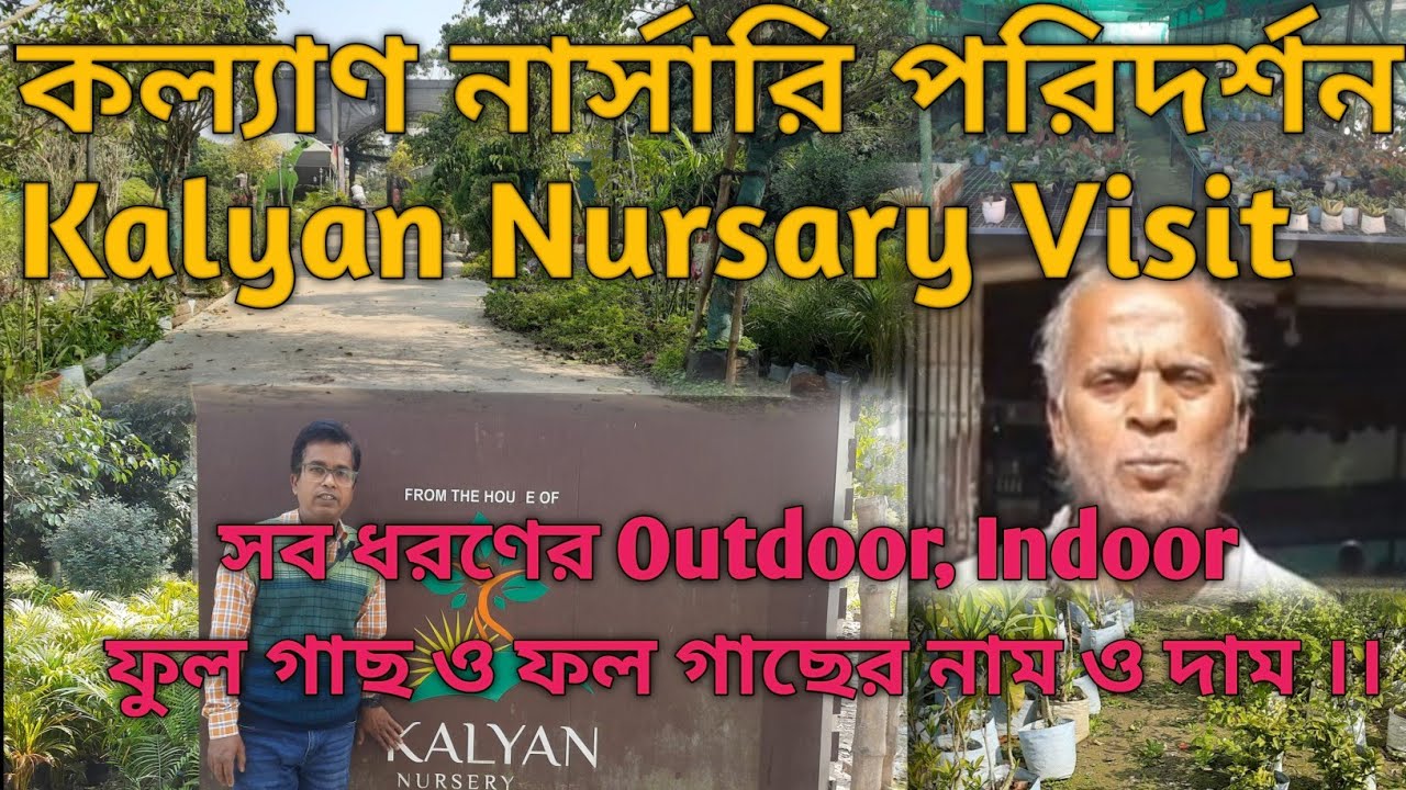 কল্যাণ নার্সারি পরিদর্শন(Kalyan Nursary Visit) সব ধরণের Outdoor,Indoor ফুল গাছও ফল গাছের নাম ও দাম  