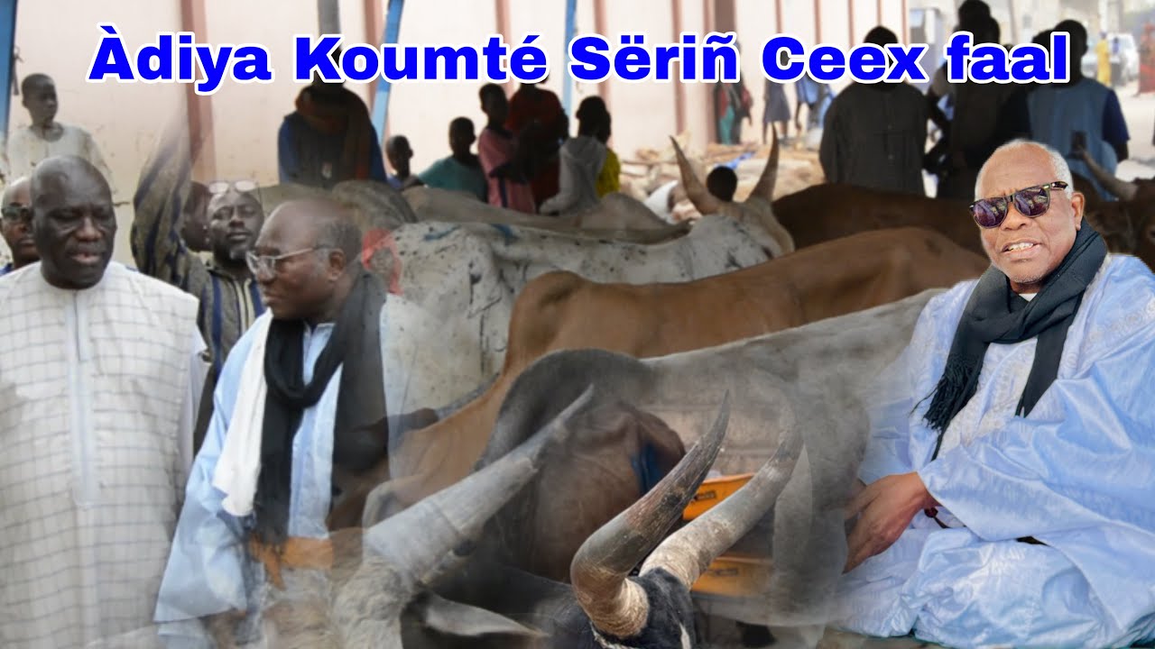Ramadan 2026 Premier Koumté Keur S Cheikh Fall Khady Gueye Chez S Fallou Fall Mome S Modou Aminat 