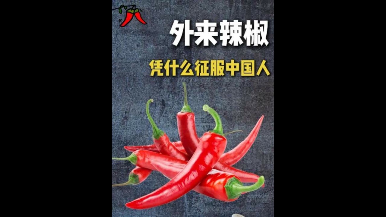 辣椒：凭什么征服 14 亿中国人的胃？ #辣椒 #美食 #科普 #辣味 #火锅约起来
