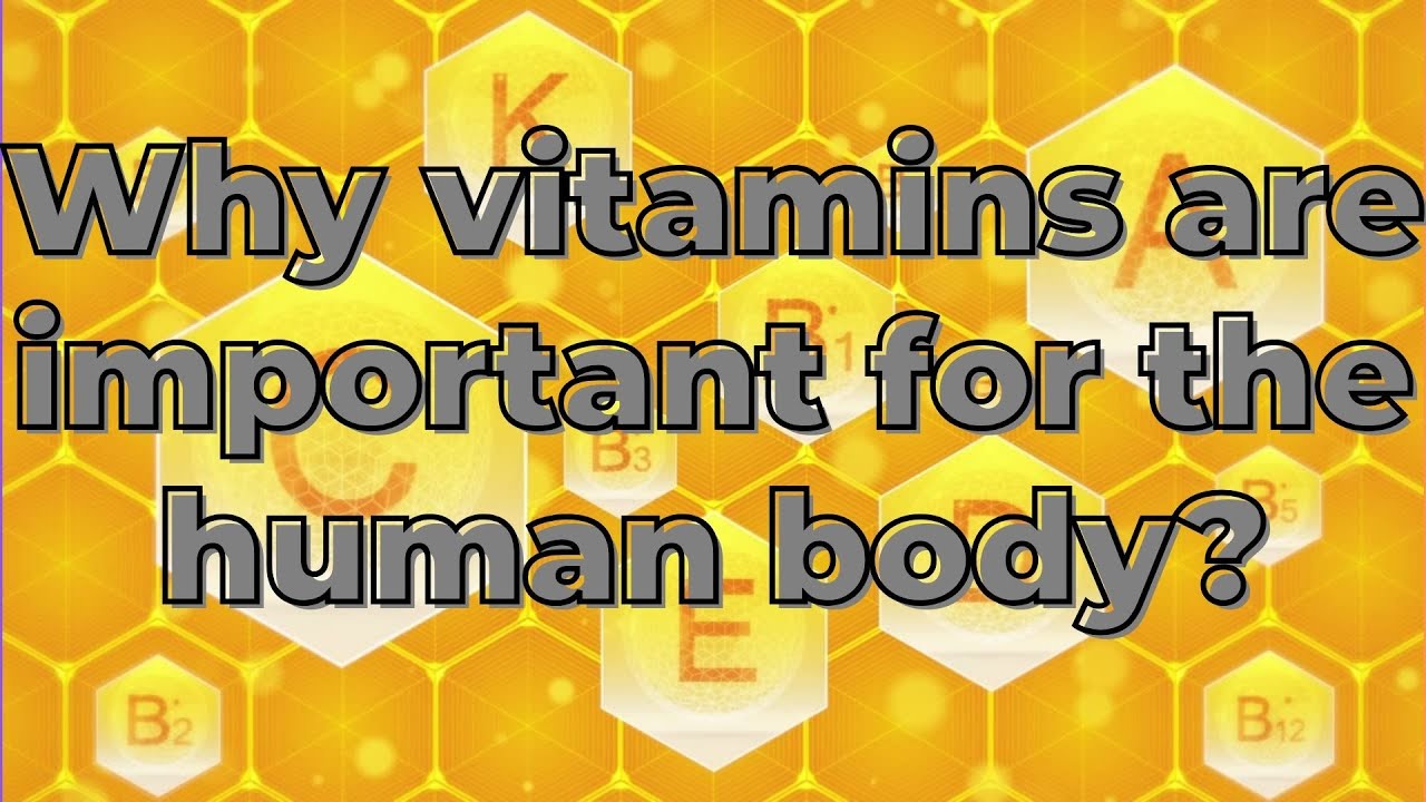 Why are vitamins important in your body?