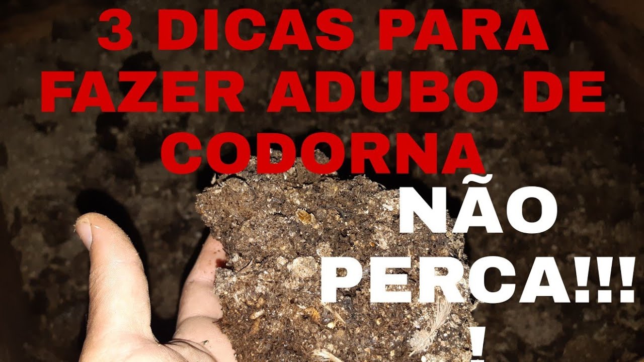 🛑 3 DICAS DO QUE FAZER COM AS FESES DA CODORNA! APRENDA COMO REAPROVEITAR!!!!!