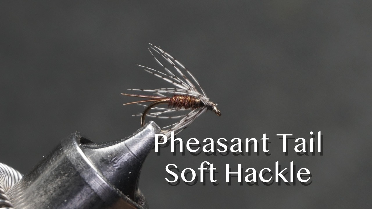 Pheasant Tail Soft Hackle using the recipe in The Soft-Hackled Fly by Sylvester Nemes