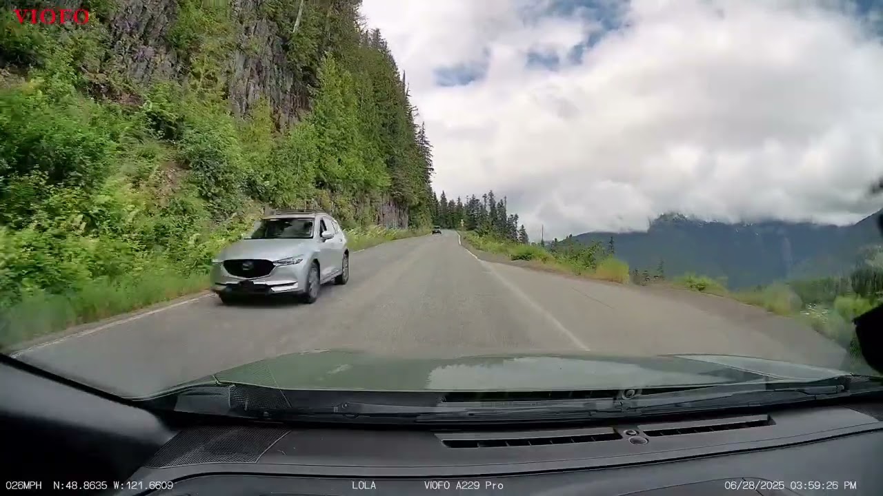 Artist Point Drive